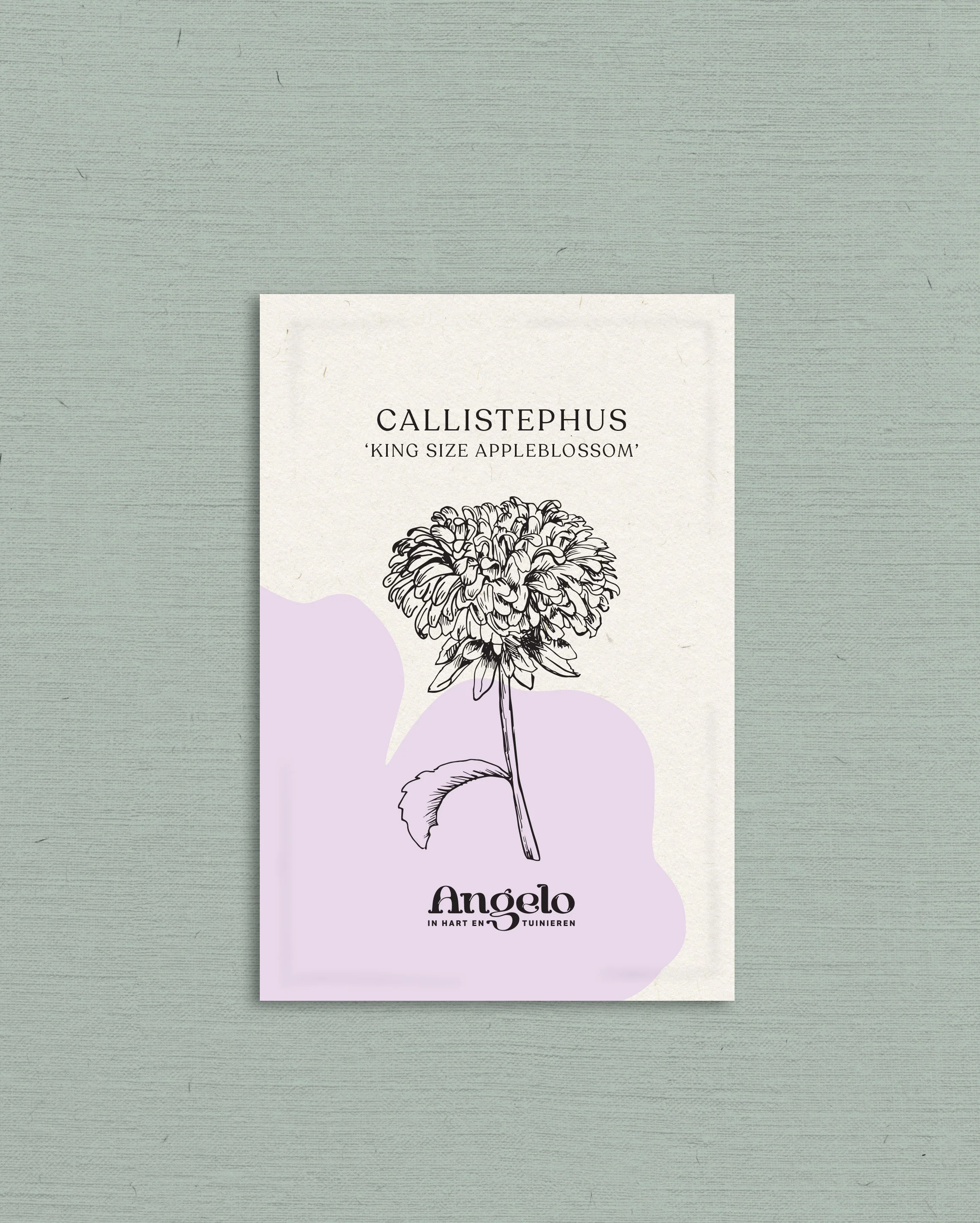 Miniatuur 2