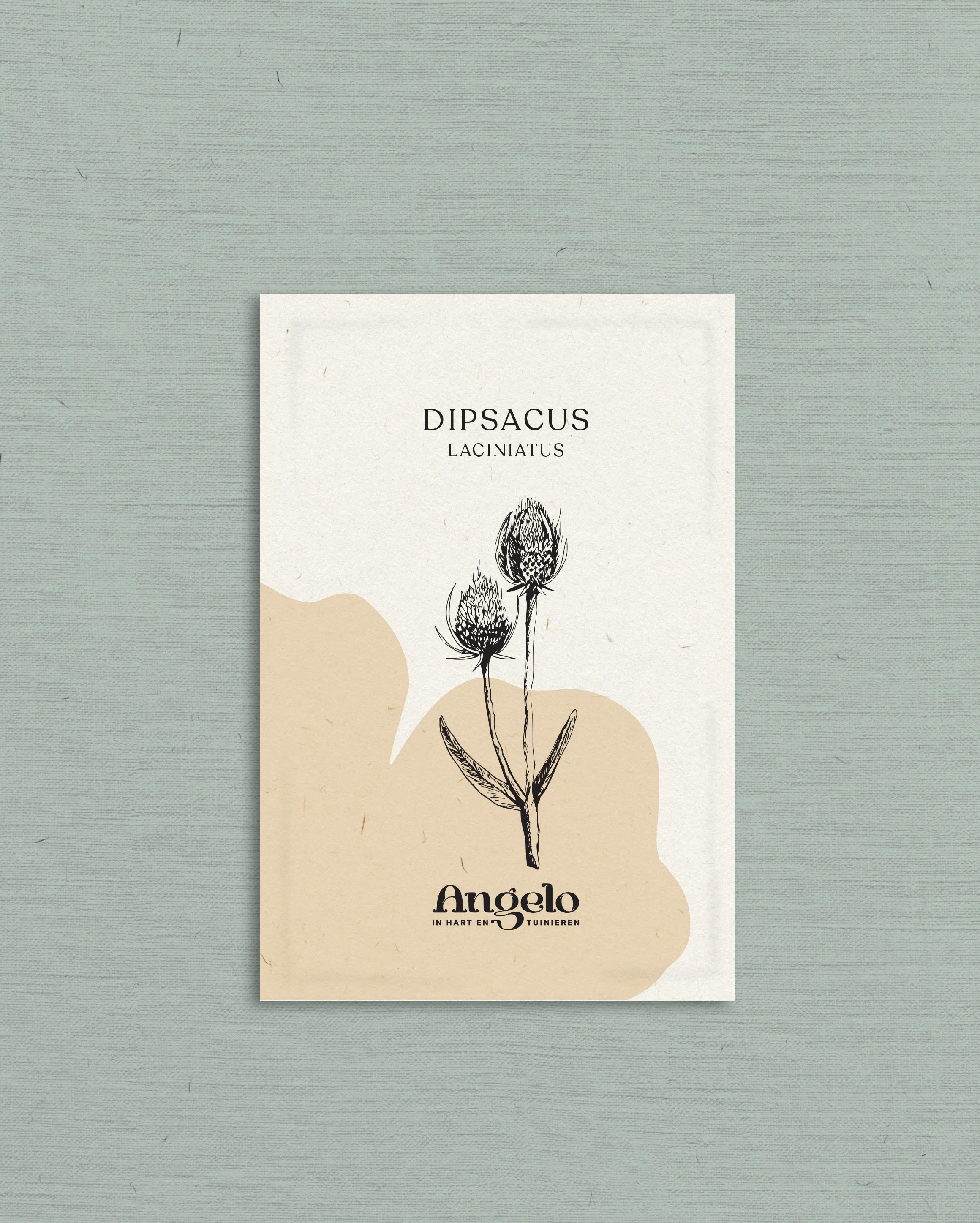 Miniatuur 2
