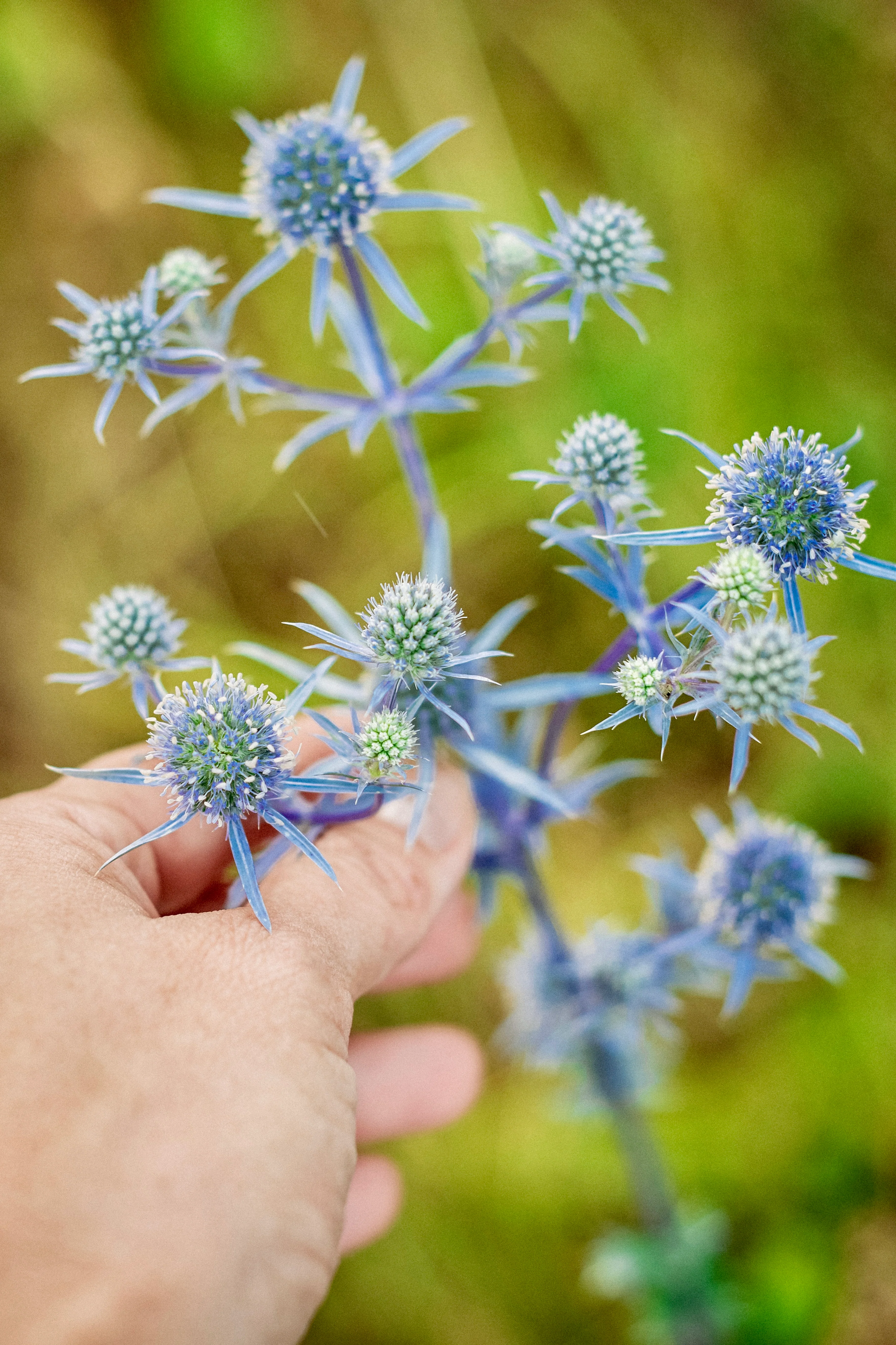 Miniatuur 1