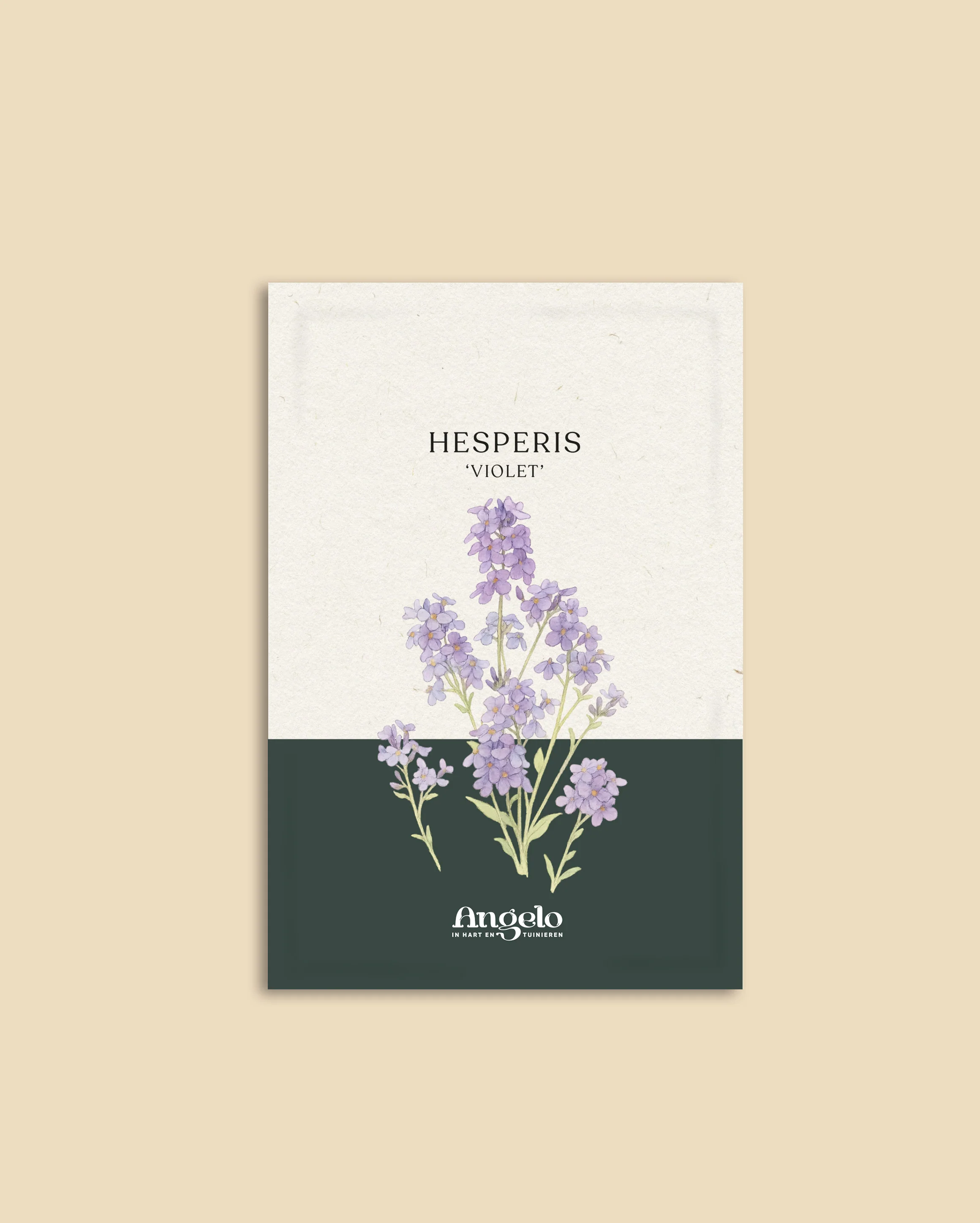 Miniatuur 2