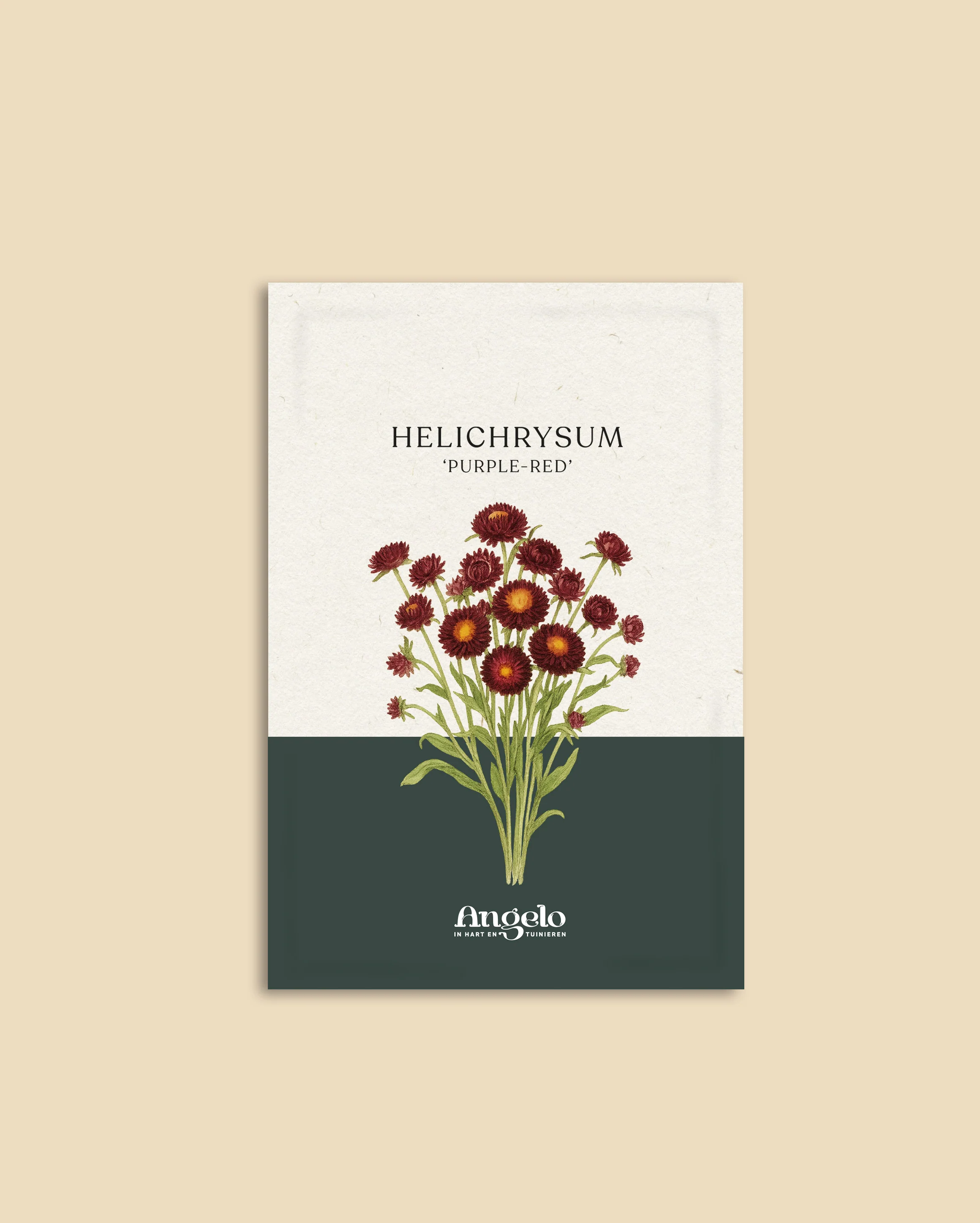 Miniatuur 2