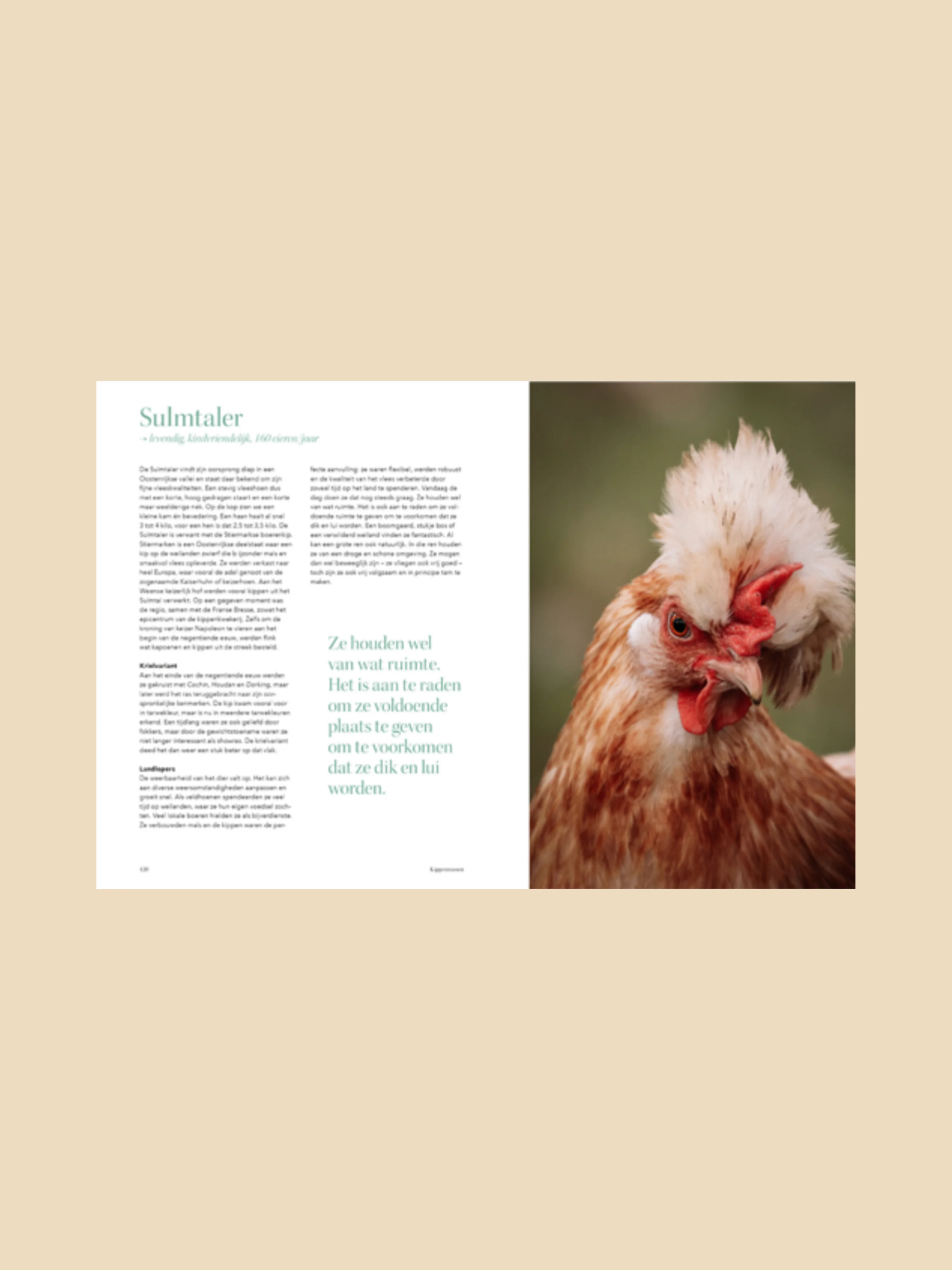 Productafbeelding 8